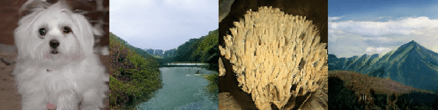 Figure 1 for Your Local GAN: Designing Two Dimensional Local Attention Mechanisms for Generative Models