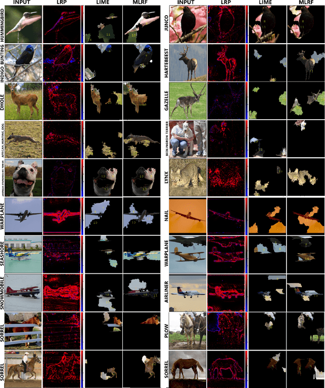 Figure 2 for A general approach to compute the relevance of middle-level input features
