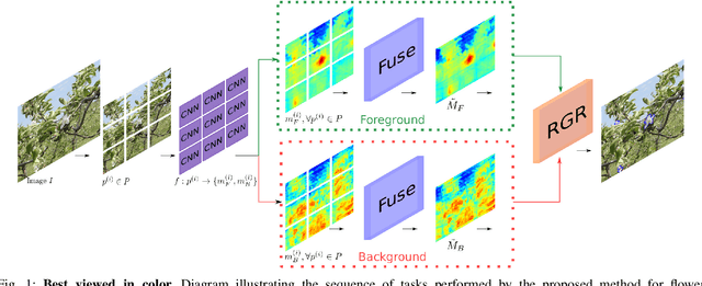 Figure 1 for Multispecies fruit flower detection using a refined semantic segmentation network