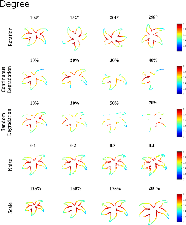 Figure 2 for An optimized shape descriptor based on structural properties of networks