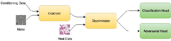 Figure 1 for Dectecting Invasive Ductal Carcinoma with Semi-Supervised Conditional GANs