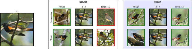 Figure 1 for Exploring Adversarial Robustness of Deep Metric Learning