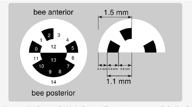 Figure 2 for Automatic localization and decoding of honeybee markers using deep convolutional neural networks
