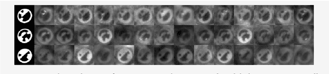 Figure 3 for Automatic localization and decoding of honeybee markers using deep convolutional neural networks