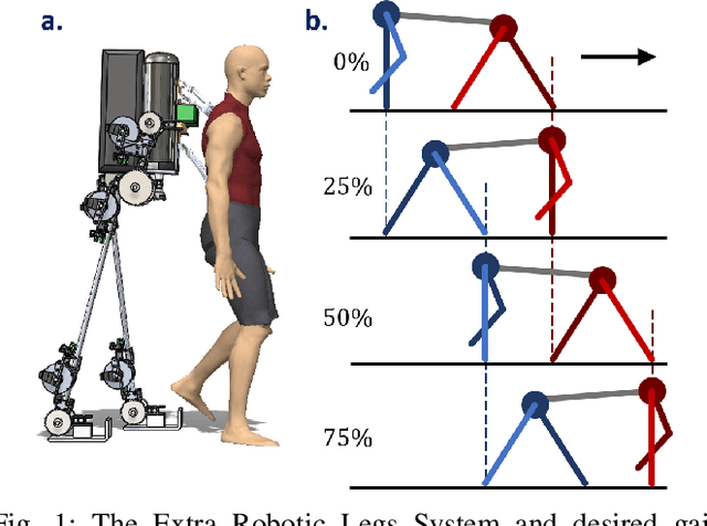 Figure 1 for Passive Quadrupedal Gait Synchronization for Extra Robotic Legs Using a Dynamically Coupled Double Rimless Wheel Model