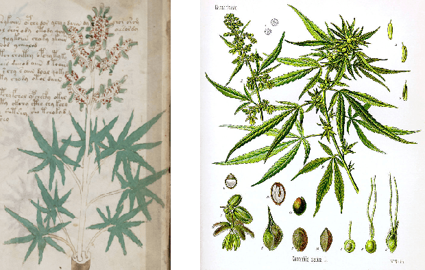 Figure 4 for The Voynich Manuscript is Written in Natural Language: The Pahlavi Hypothesis