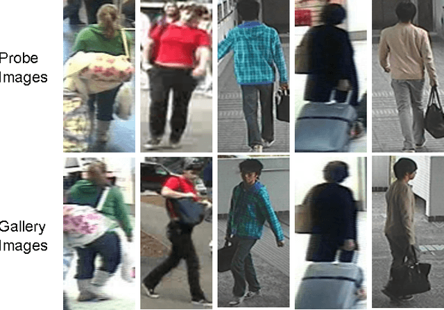 Figure 1 for Hierarchical Invariant Feature Learning with Marginalization for Person Re-Identification