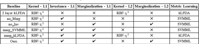 Figure 4 for Hierarchical Invariant Feature Learning with Marginalization for Person Re-Identification