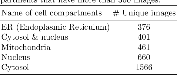 Figure 2 for A fully automated end-to-end process for fluorescence microscopy images of yeast cells: From segmentation to detection and classification