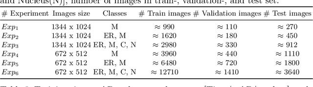 Figure 4 for A fully automated end-to-end process for fluorescence microscopy images of yeast cells: From segmentation to detection and classification