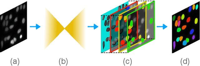 Figure 3 for Instance segmentation with the number of clusters incorporated in embedding learning