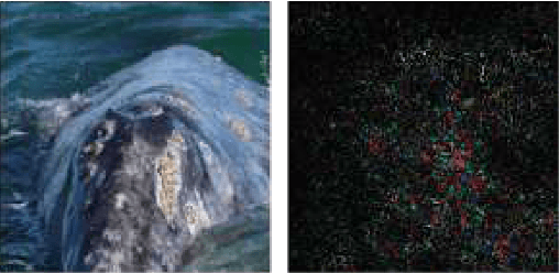 Figure 3 for Analysis of Explainers of Black Box Deep Neural Networks for Computer Vision: A Survey