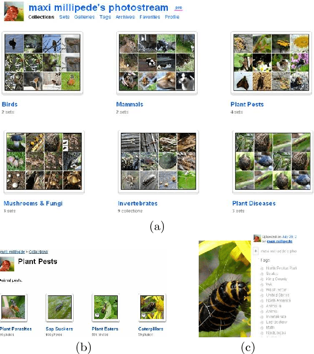 Figure 1 for Growing a Tree in the Forest: Constructing Folksonomies by Integrating Structured Metadata