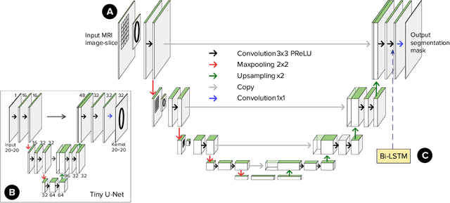 Figure 3 for Learnable Hollow Kernels for Anatomical Segmentation