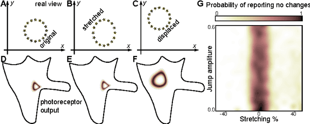 Figure 4 for Space as an invention of biological organisms