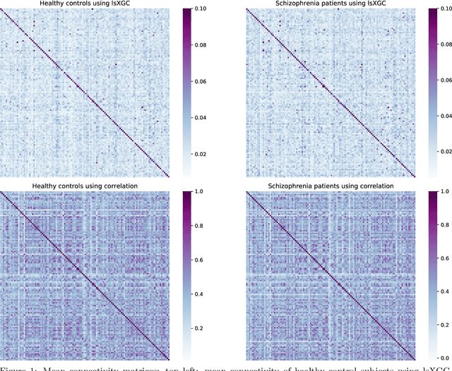 Figure 1 for Classification of Schizophrenia from Functional MRI Using Large-scale Extended Granger Causality