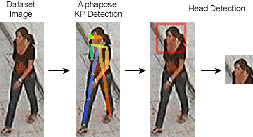 Figure 4 for Is Gender "In-the-Wild" Inference Really a Solved Problem?