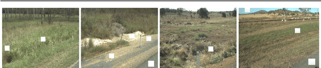 Figure 3 for Superpixel based Class-Semantic Texton Occurrences for Natural Roadside Vegetation Segmentation