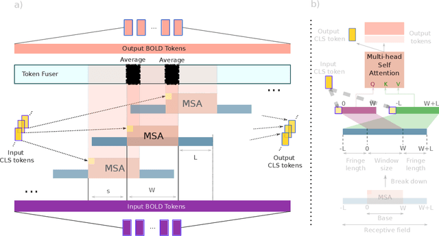 Figure 2 for BolT: Fused Window Transformers for fMRI Time Series Analysis
