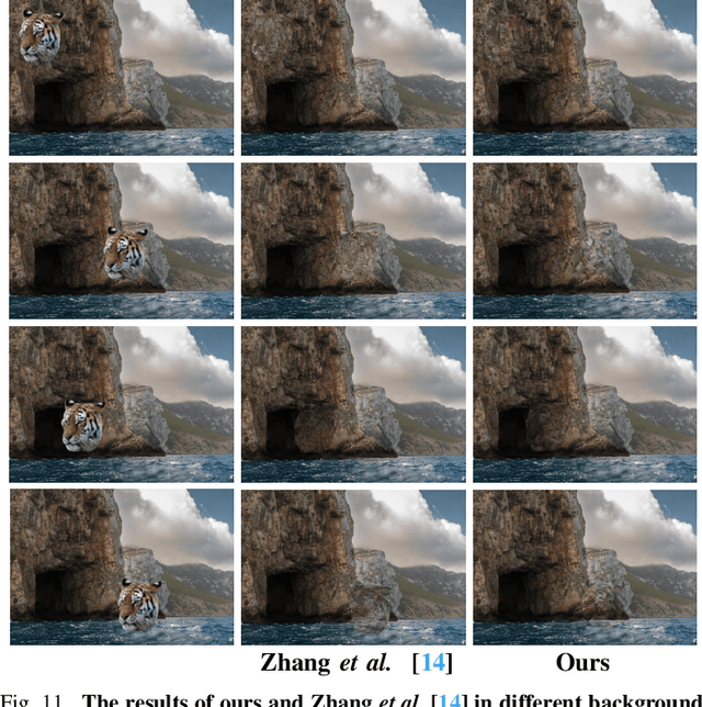 Figure 3 for Location-Free Camouflage Generation Network