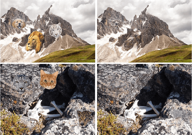 Figure 4 for Location-Free Camouflage Generation Network