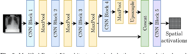 Figure 3 for Localization supervision of chest x-ray classifiers using label-specific eye-tracking annotation