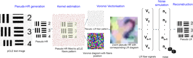 Figure 3 for Zero-shot super-resolution with a physically-motivated downsampling kernel for endomicroscopy
