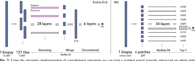 Figure 2 for Detection of prostate cancer in whole-slide images through end-to-end training with image-level labels