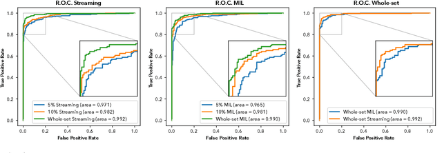 Figure 3 for Detection of prostate cancer in whole-slide images through end-to-end training with image-level labels