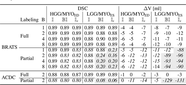 Figure 2 for The Dice loss in the context of missing or empty labels: Introducing $Φ$ and $ε$