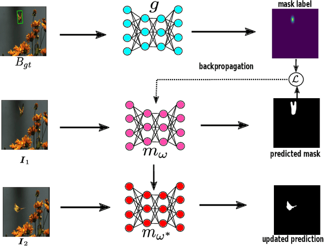 Figure 1 for Learning Online for Unified Segmentation and Tracking Models