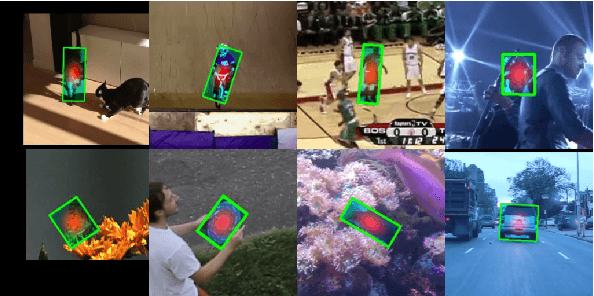 Figure 4 for Learning Online for Unified Segmentation and Tracking Models