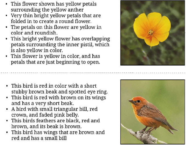 Figure 1 for C4Synth: Cross-Caption Cycle-Consistent Text-to-Image Synthesis