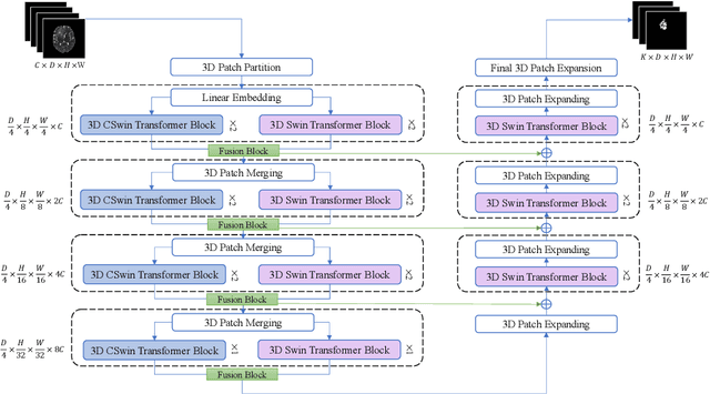 Figure 1 for Hybrid Window Attention Based Transformer Architecture for Brain Tumor Segmentation