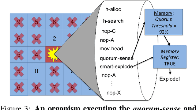 Figure 3 for More Bang For Your Buck: Quorum-Sensing Capabilities Improve the Efficacy of Suicidal Altruism