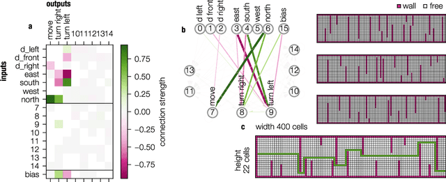 Figure 1 for Sparsity through evolutionary pruning prevents neuronal networks from overfitting