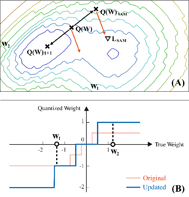 Figure 1 for SQuAT: Sharpness- and Quantization-Aware Training for BERT