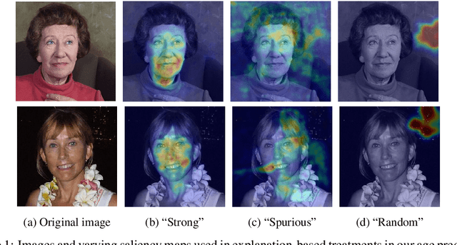Figure 1 for Are Visual Explanations Useful? A Case Study in Model-in-the-Loop Prediction