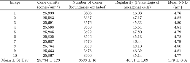 Figure 2 for Performance Analysis of Cone Detection Algorithms