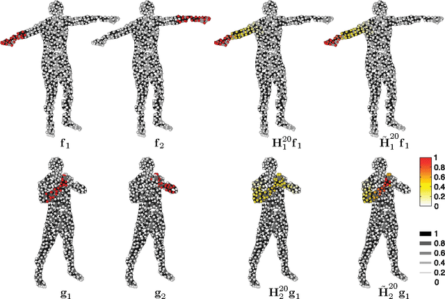 Figure 4 for Heat kernel coupling for multiple graph analysis