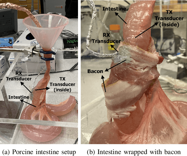 Figure 4 for Video-Streaming Biomedical Implants using Ultrasonic Waves for Communication