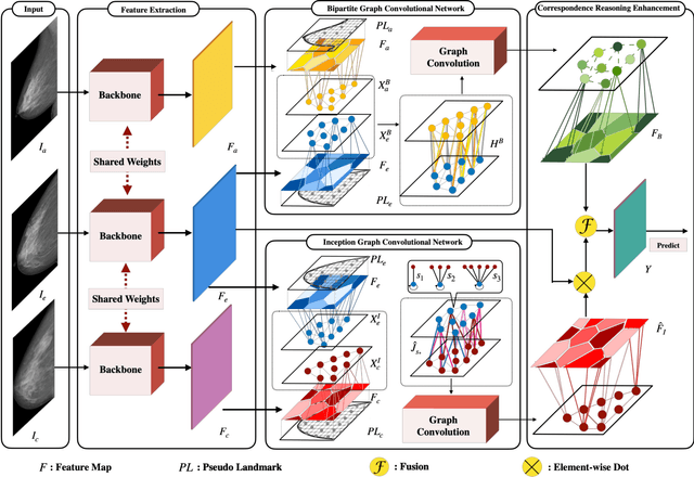 Figure 3 for Act Like a Radiologist: Towards Reliable Multi-view Correspondence Reasoning for Mammogram Mass Detection