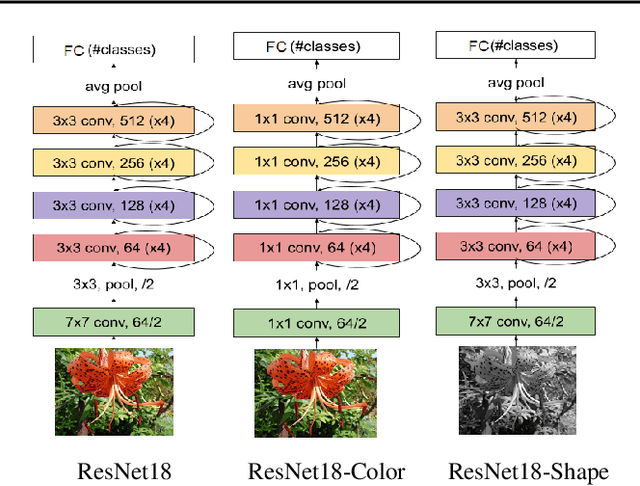 Figure 3 for Disentanglement of Color and Shape Representations for Continual Learning