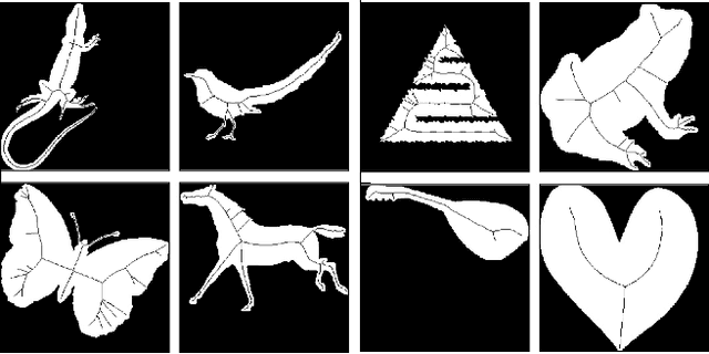 Figure 1 for SkelNetOn 2019 Dataset and Challenge on Deep Learning for Geometric Shape Understanding