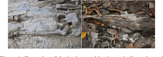 Figure 1 for SLRNet: Semi-Supervised Semantic Segmentation Via Label Reuse for Human Decomposition Images