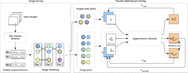 Figure 3 for SLRNet: Semi-Supervised Semantic Segmentation Via Label Reuse for Human Decomposition Images