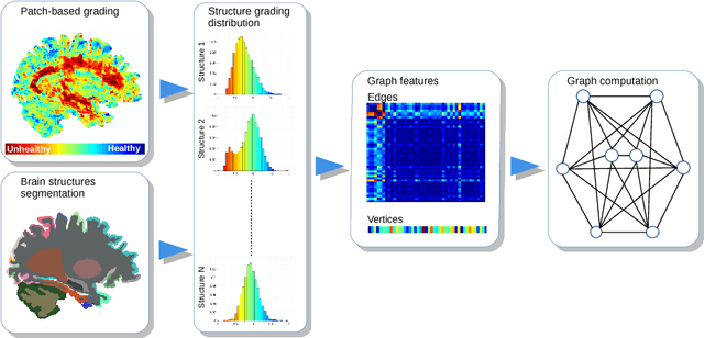 Figure 2 for Graph of brain structures grading for early detection of Alzheimer's disease