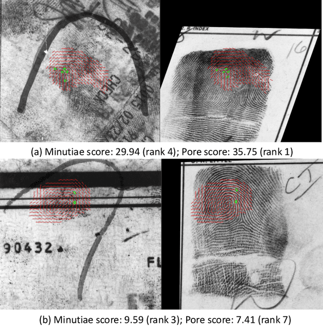 Figure 4 for End-to-End Pore Extraction and Matching in Latent Fingerprints: Going Beyond Minutiae