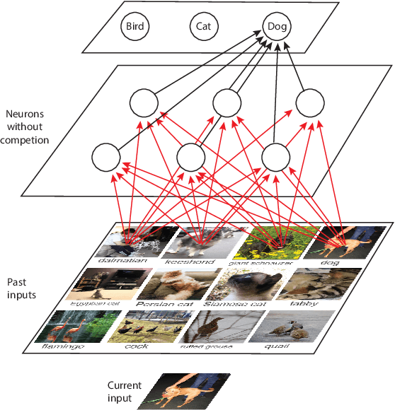 Figure 1 for Post Selections Using Test Sets and How Developmental Networks Avoid Them