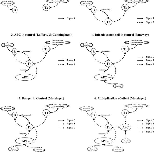 Figure 2 for The Danger Theory and Its Application to Artificial Immune Systems